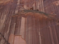 Lake Powell